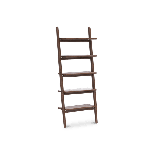 Endra Large Ladder Shelf