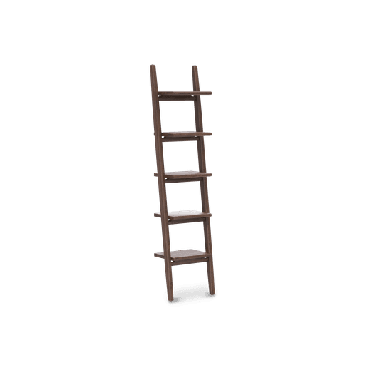 Endra Small Ladder Shelf
